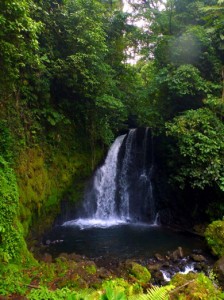 140408 Arenal waterfall
