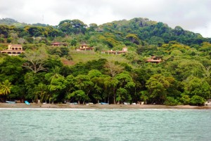 14503 Playa Dominicalito