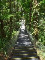 Suspension bridge on the slopes of the volcano