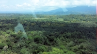 Quepos from the air